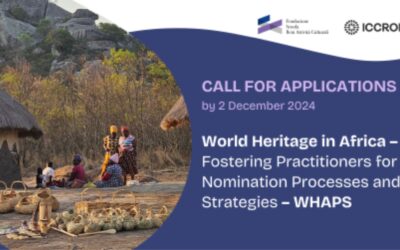 Call for Applications: Forum & Mentoring Programme – (WHAPS)